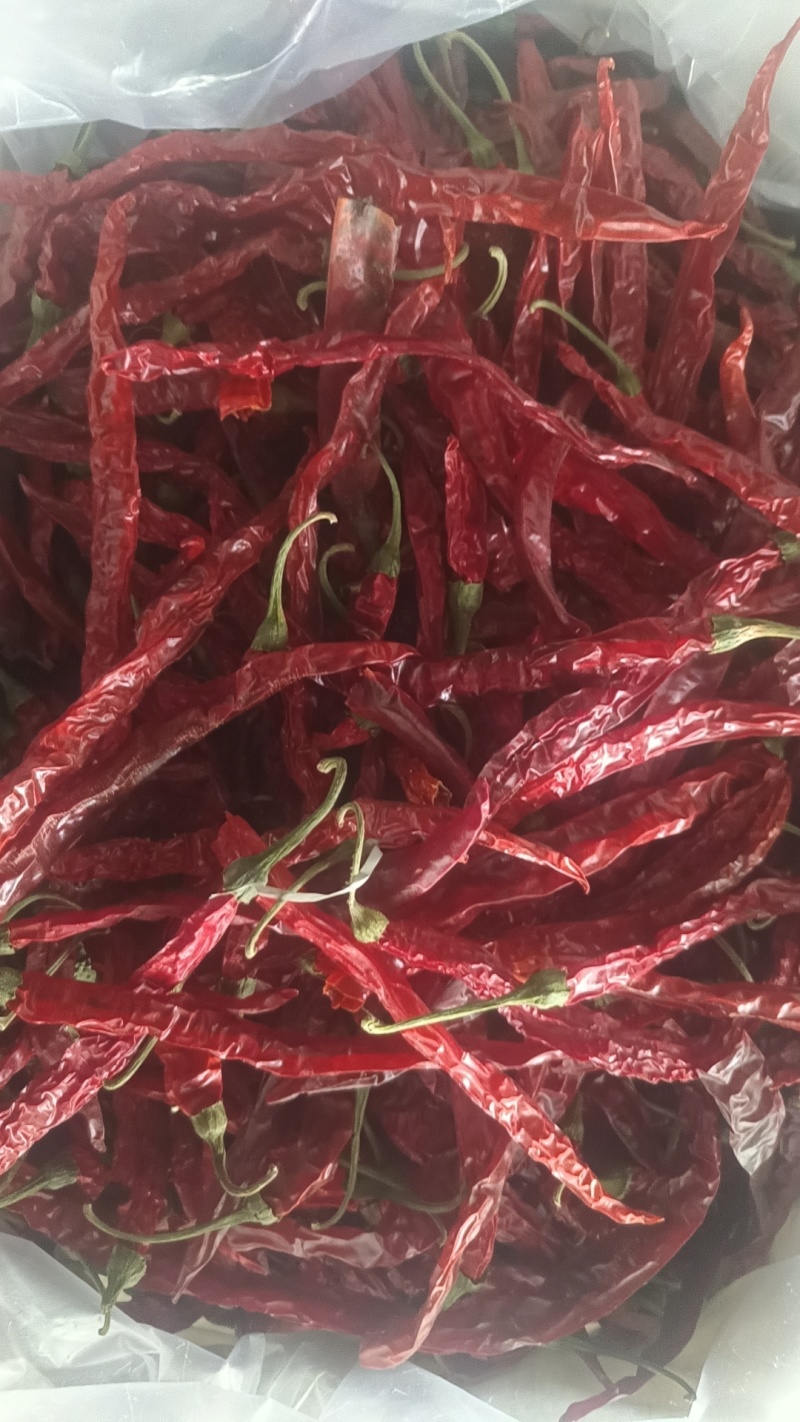 特香微辣大条二荆条干辣椒量大从优