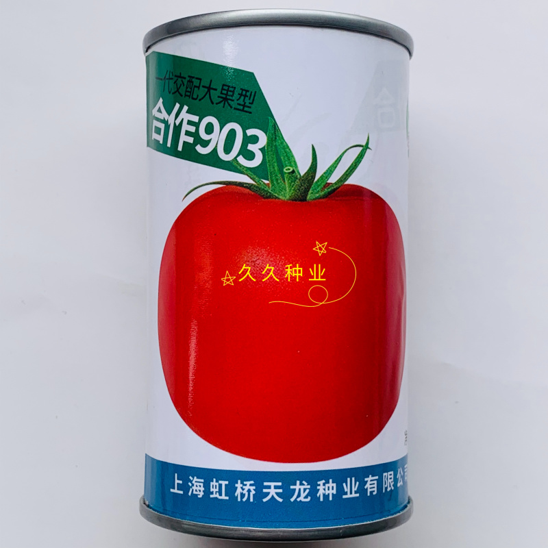 上海合作903大红粉红番茄种子早熟高产自封顶春秋种植