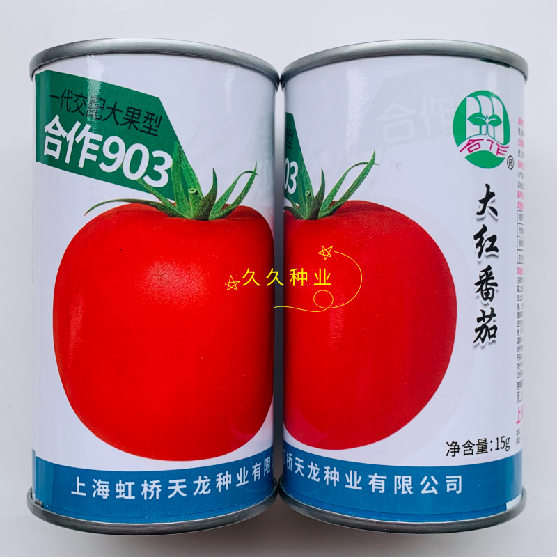 上海合作903大红粉红番茄种子早熟高产自封顶春秋种植
