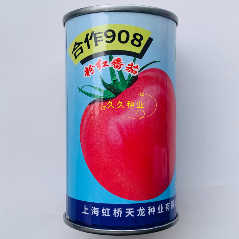 合作908粉红番茄种子无限生长型鲜食大果西红柿高产抗病