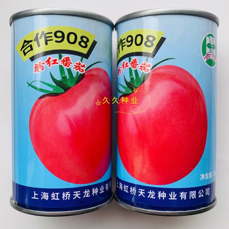 合作908粉红番茄种子无限生长型鲜食大果西红柿高产抗病