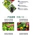 木醋液农用土壤改良消毒剂闷棚正品蒸馏营养液养殖场杀菌除臭