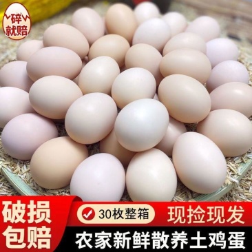 30个正宗散养土鸡蛋现捡新鲜草鸡蛋柴鸡蛋笨鸡蛋笨鸡蛋整箱