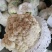 田头产地新鲜花菜（实花）大量上市，欢迎垂询采购