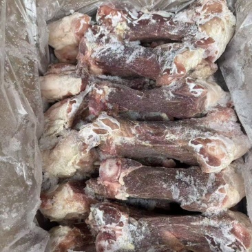 后腿骨