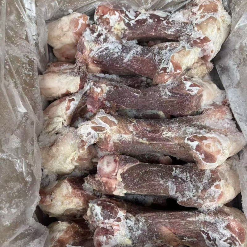 后腿骨