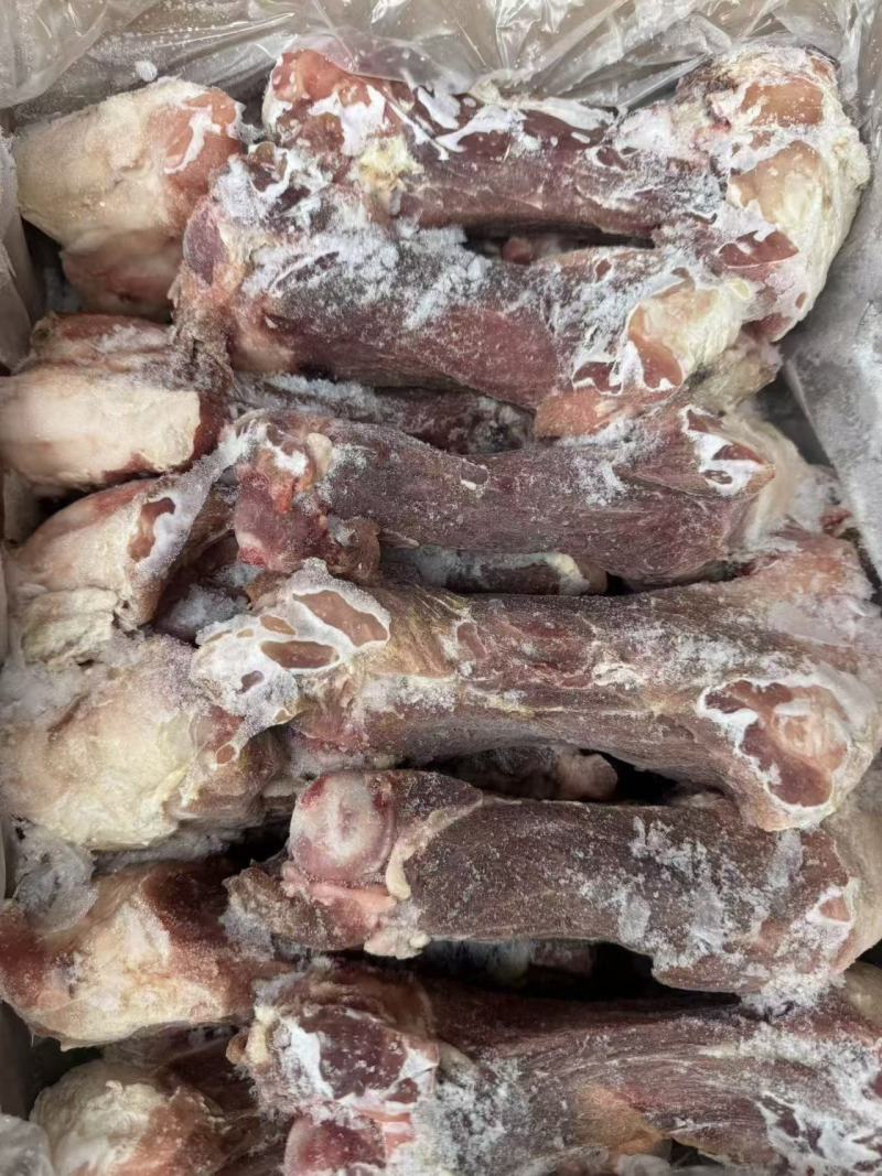 后腿骨