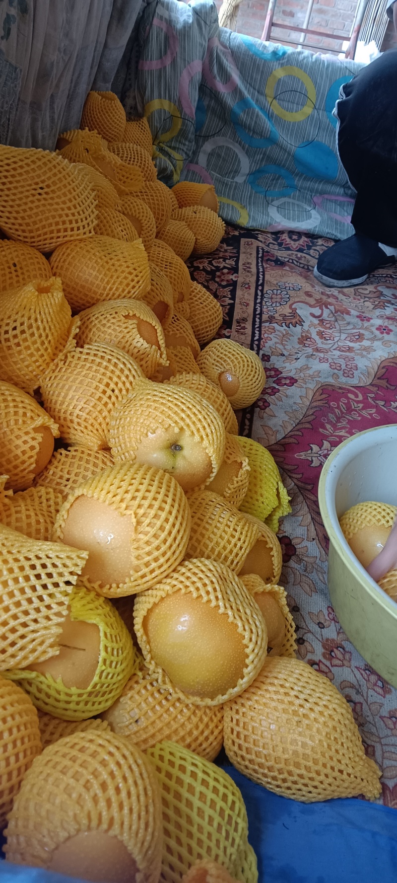 秋月