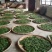 云南省文山州马关县古树茶