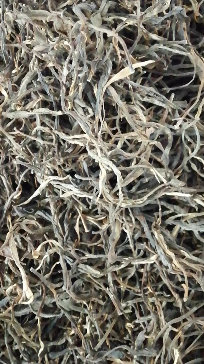 云南省文山州马关县古树茶