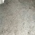 小树普洱茶
