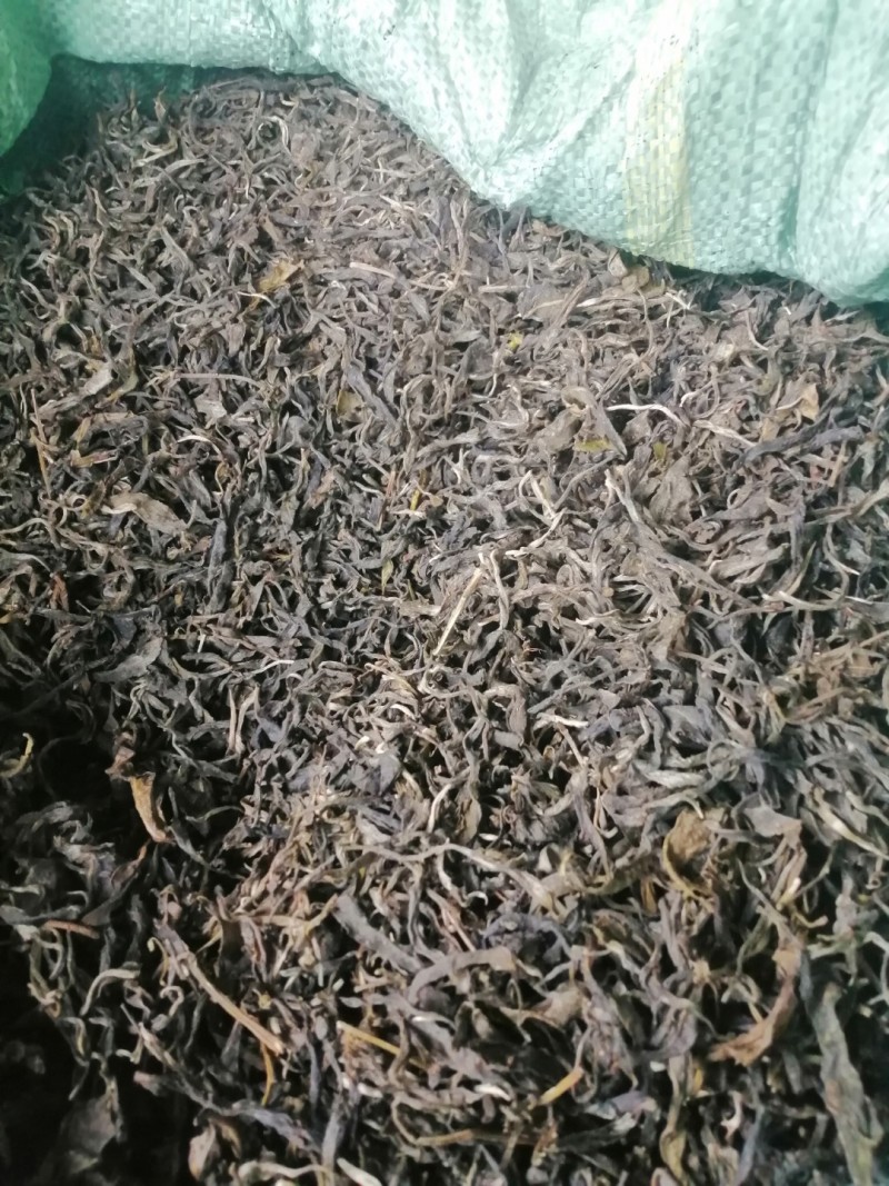 小树普洱茶