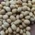 安徽大豆，黄豆.蛋白豆，