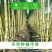 《黄皮甘蔗》山东聊城甘蔗/产地货源/价格实惠/欢迎来电