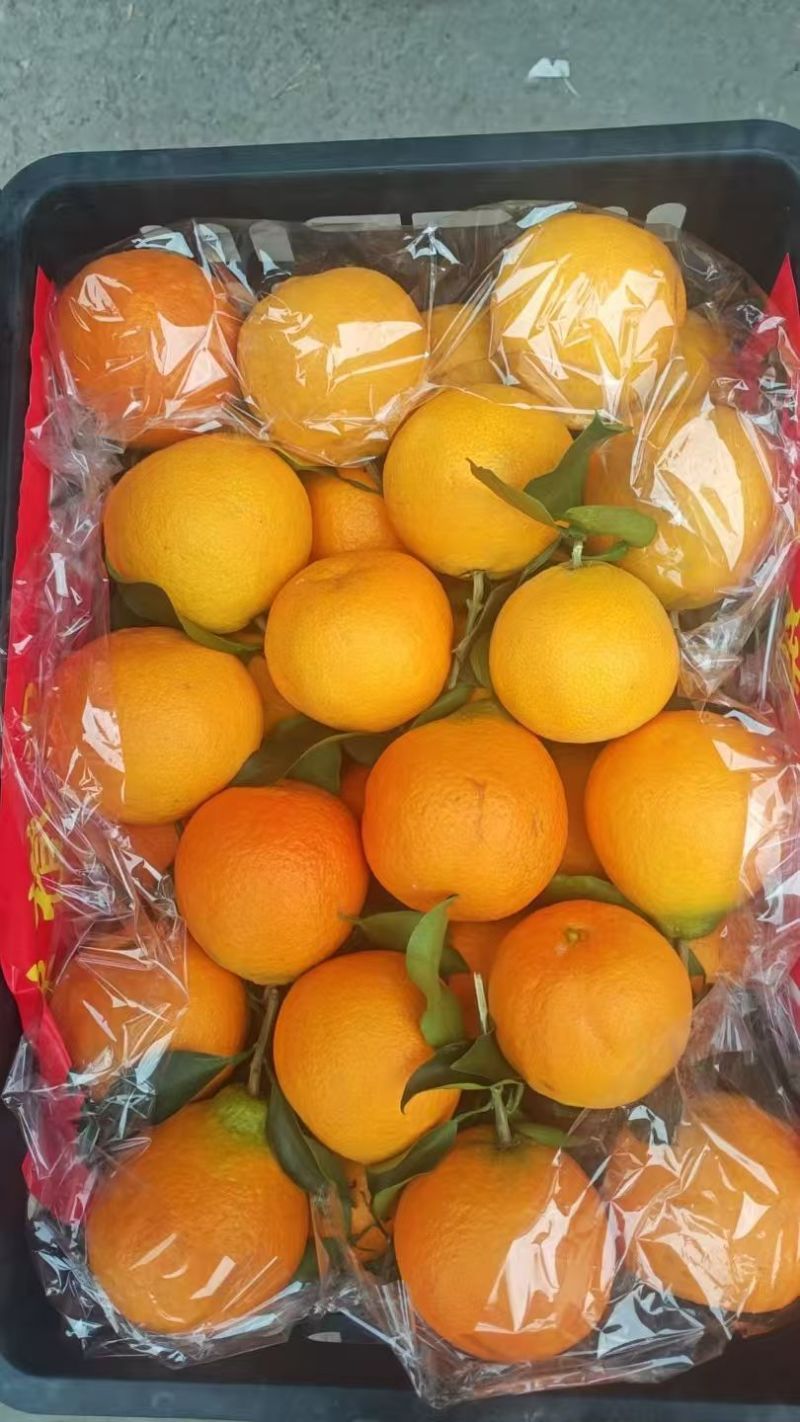 【推荐】爱媛果冻橙爱媛橙产地一手货源现摘现发