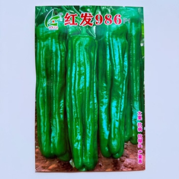 红发986薄皮椒种子竖条纹明显杂交一代青皮