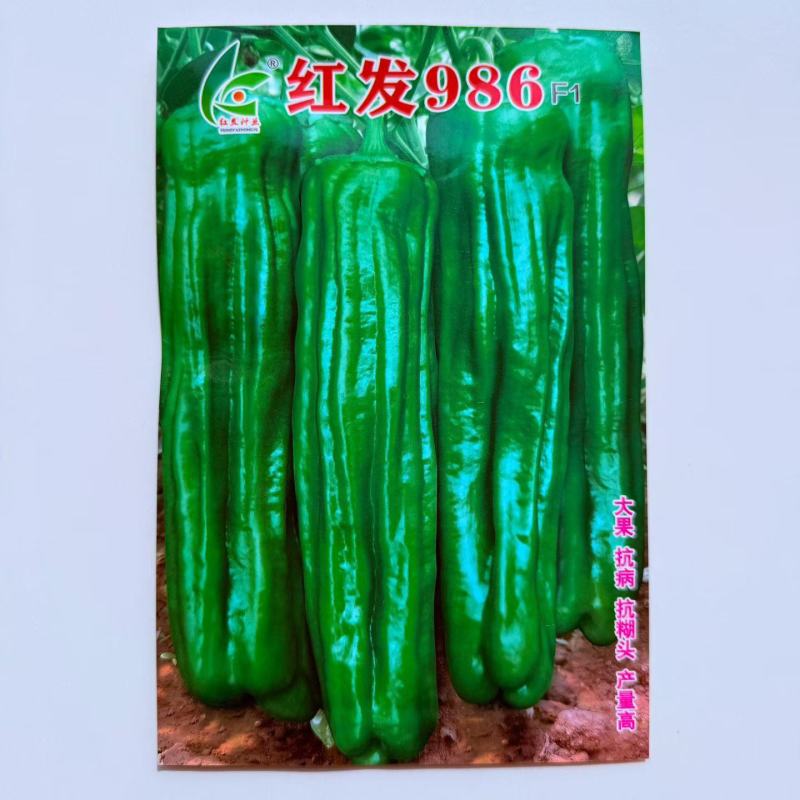 红发986薄皮椒种子竖条纹明显杂交一代青皮