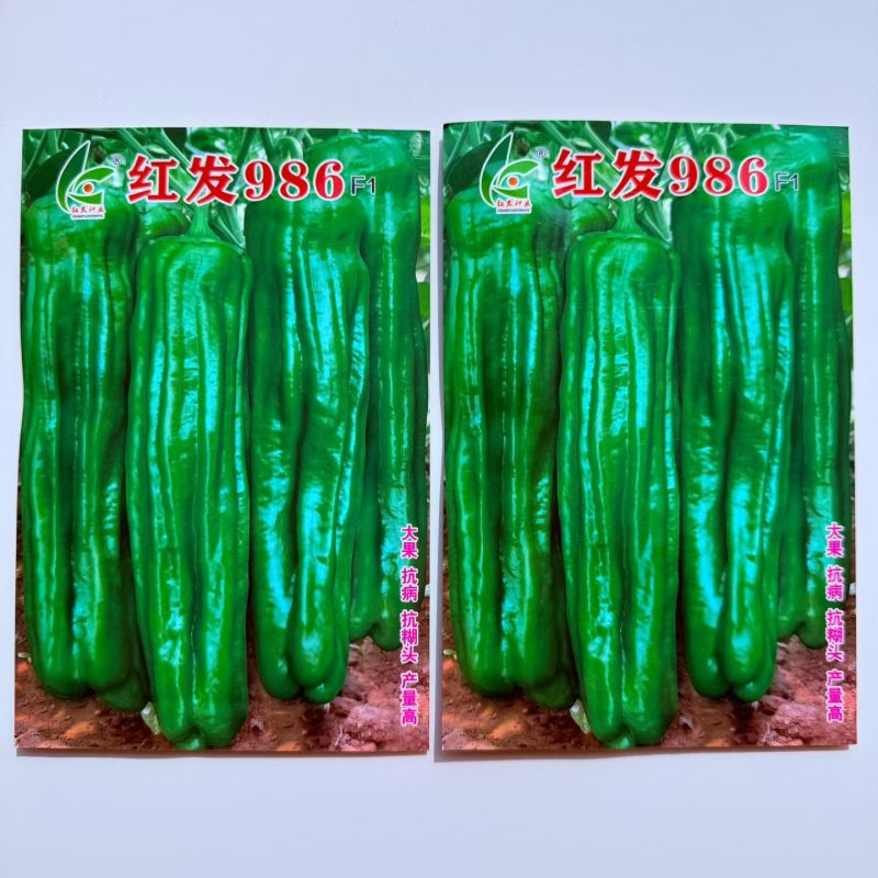 红发986薄皮椒种子竖条纹明显杂交一代青皮