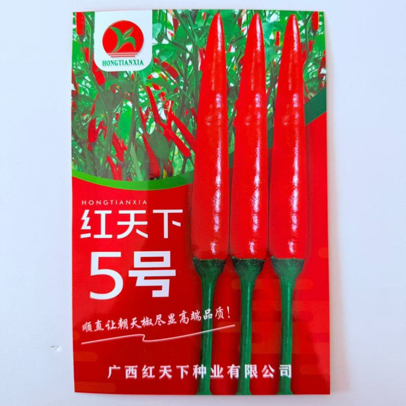 红天下5号朝天椒种子高产大果型朝天椒顺直油亮抗病强辣椒种
