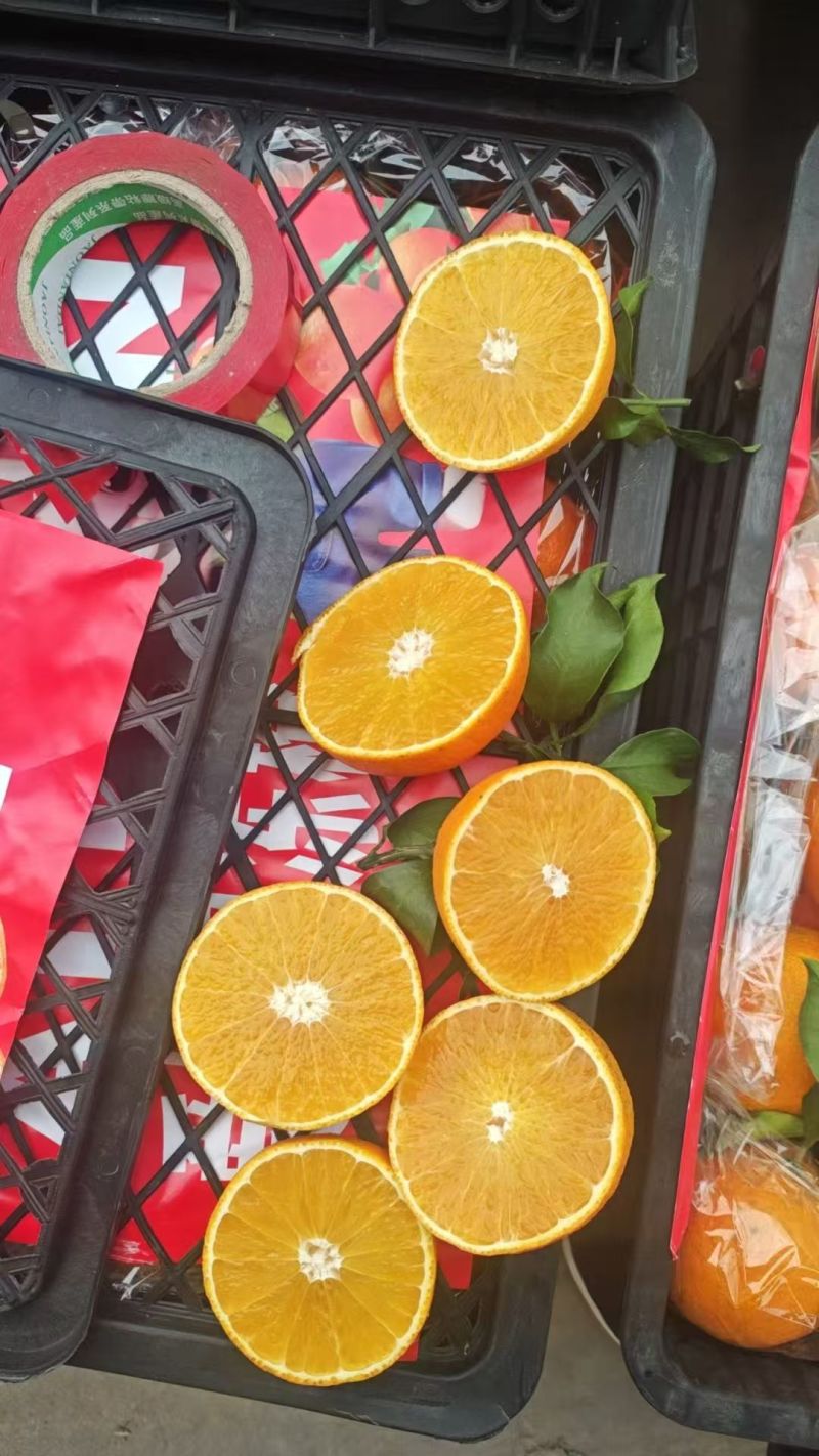 爱媛果冻橙四川爱媛橙产地直发品质保障皮薄多汁
