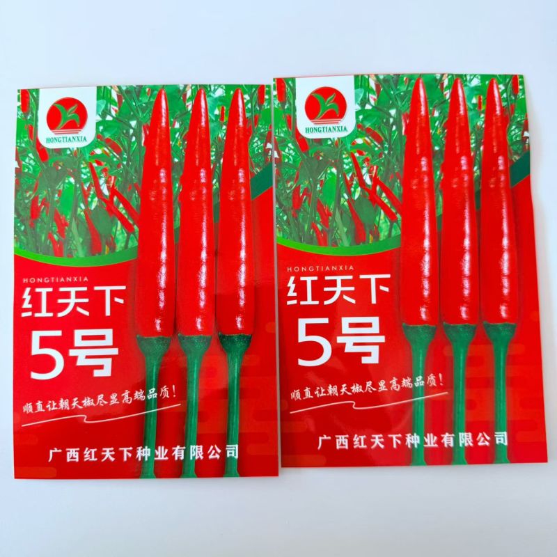红天下5号朝天椒种子高产大果型朝天椒顺直油亮抗病强辣椒种