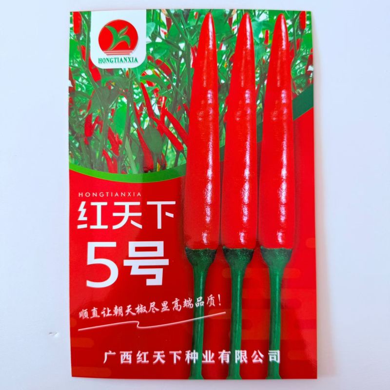 红天下5号朝天椒种子高产大果型朝天椒顺直油亮抗病强辣椒种