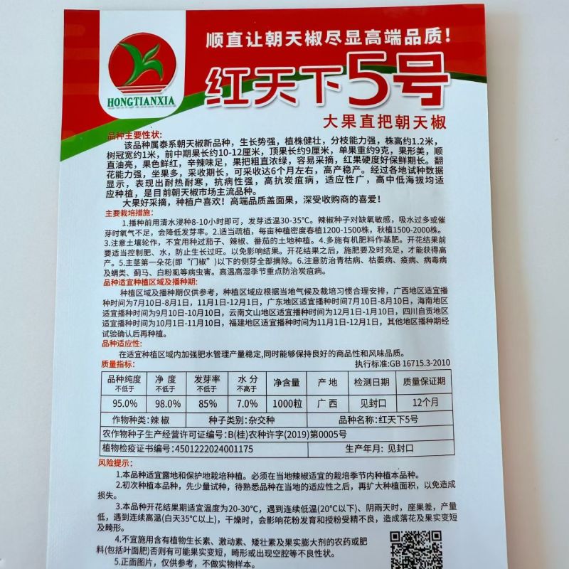 红天下5号朝天椒种子高产大果型朝天椒顺直油亮抗病强辣椒种