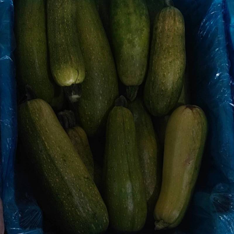 食堂货西葫芦有大的有小的，需要的可以直接联系