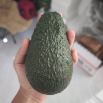 散称孟连牛油果，中国牛油果之乡产地直发牛油果