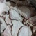 上腿肉去皮腿肉无骨腿肉省重点龙头企业可视频看货