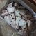 上腿肉去皮腿肉无骨腿肉省重点龙头企业可视频看货