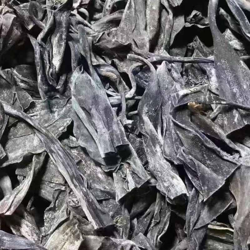 霞浦东海精品优质海带，海带头海带卷海带丝