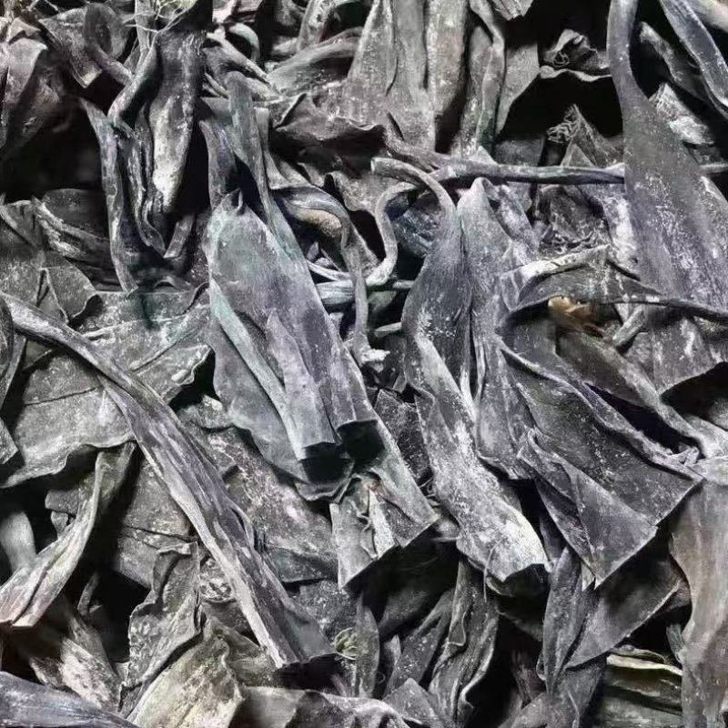 霞浦东海精品优质海带，海带头海带卷海带丝