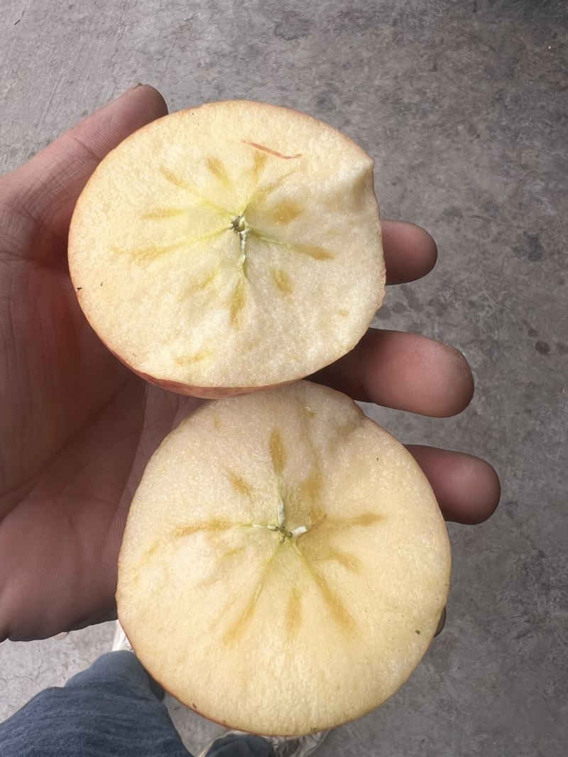 糖心苹果
