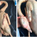 东北农家散养大鹅