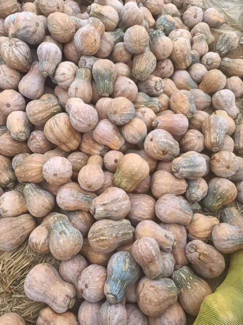 小金瓜，花生南瓜，好货直达