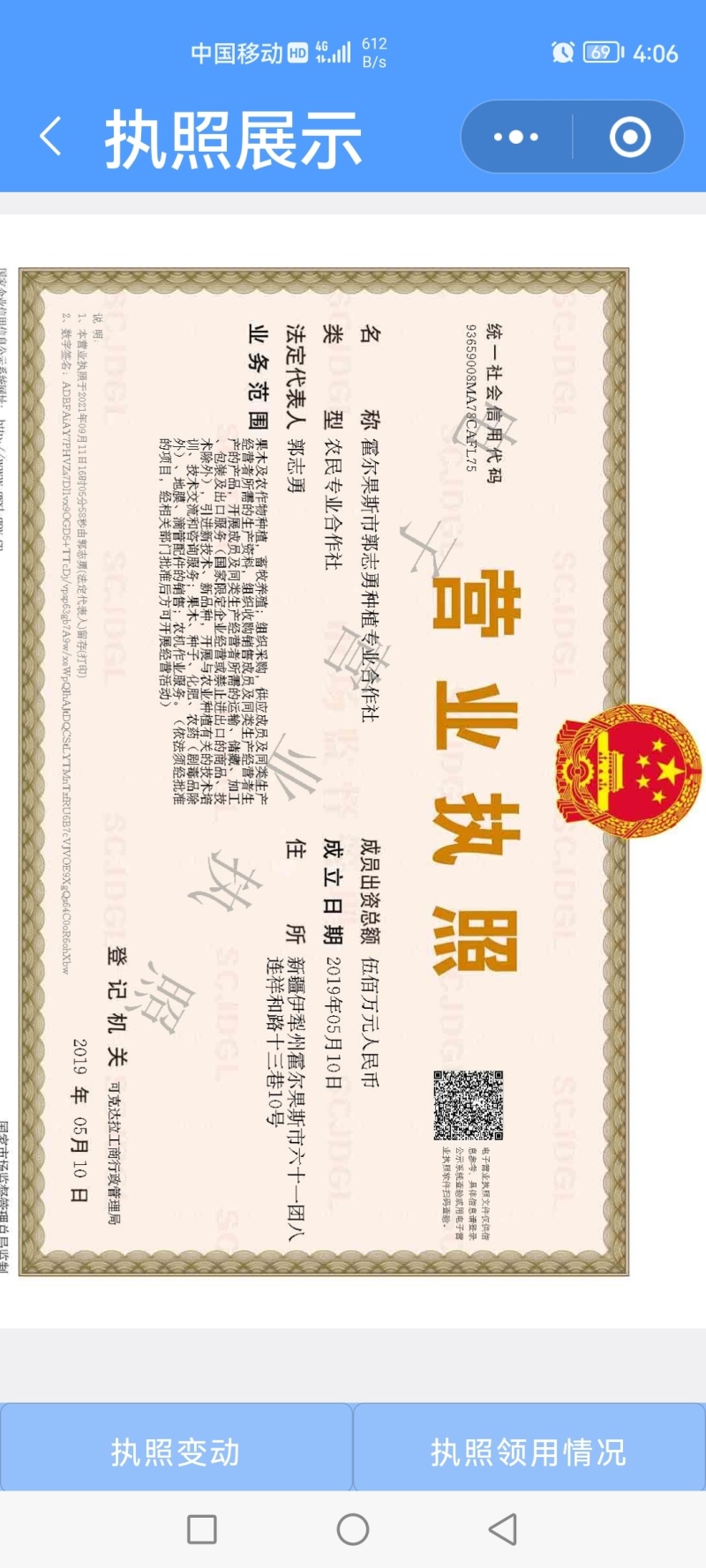 吊干杏苗产地新疆伊犁可视频看货自产自销树上干杏苗