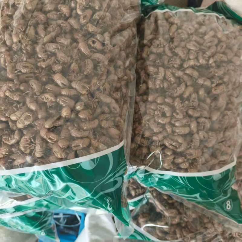 蝉蜕批发各种规格中药材质量保证量大从优