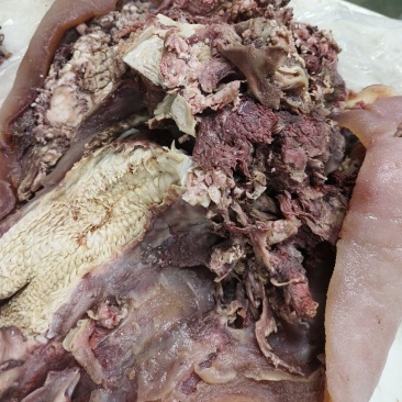【熟牛头肉】熟牛头