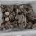 【推荐】鲜平菇基地直发一手货源视频看货欢迎咨询