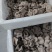 【推荐】鲜平菇基地直发一手货源视频看货欢迎咨询