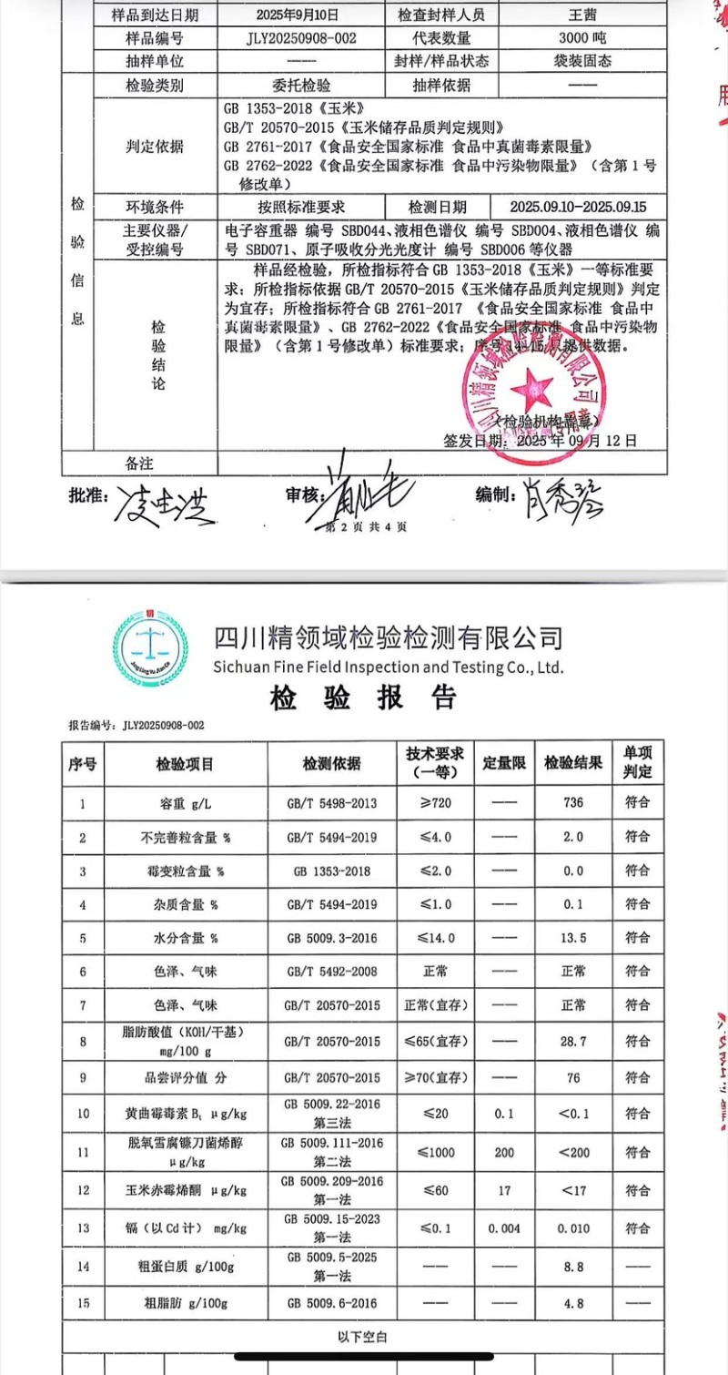 内蒙包头玉米