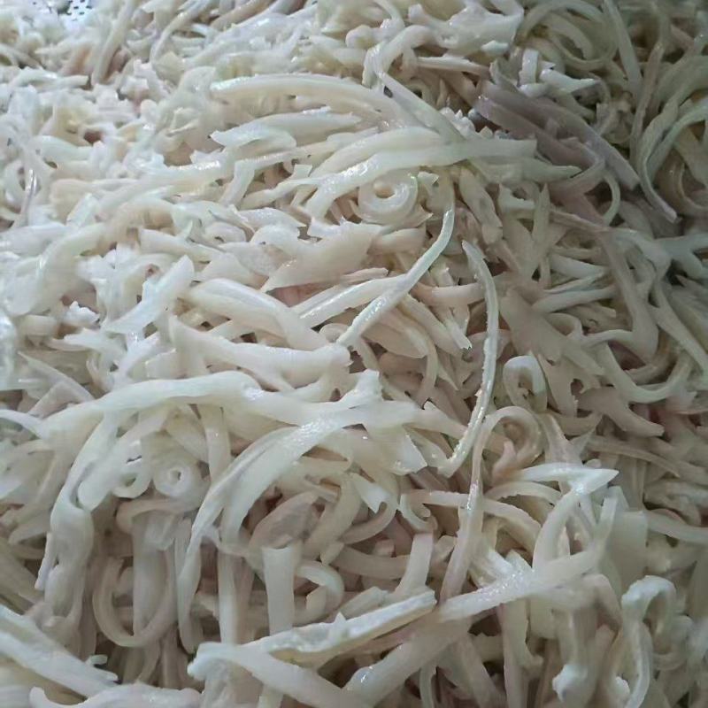 脊背皮丝