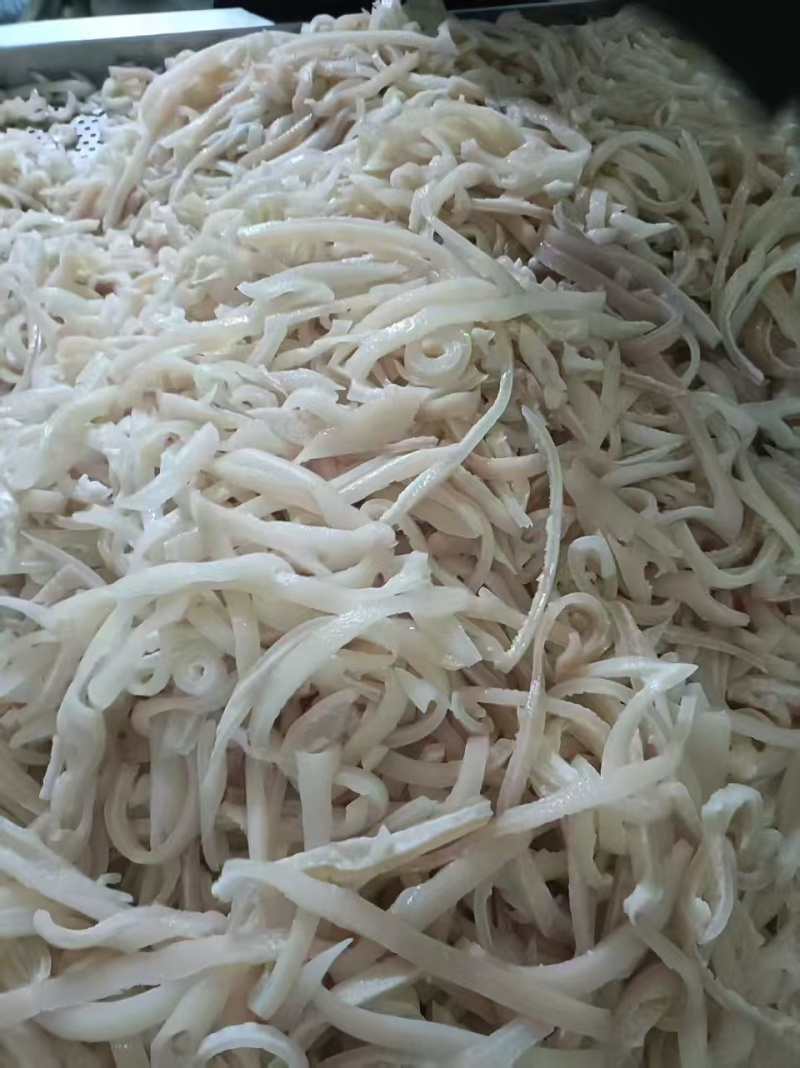 脊背皮丝