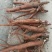 赤芍苗1.0标1.2标1.5标1.8标2.0标