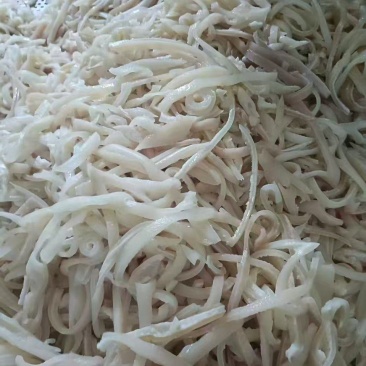脊背皮丝