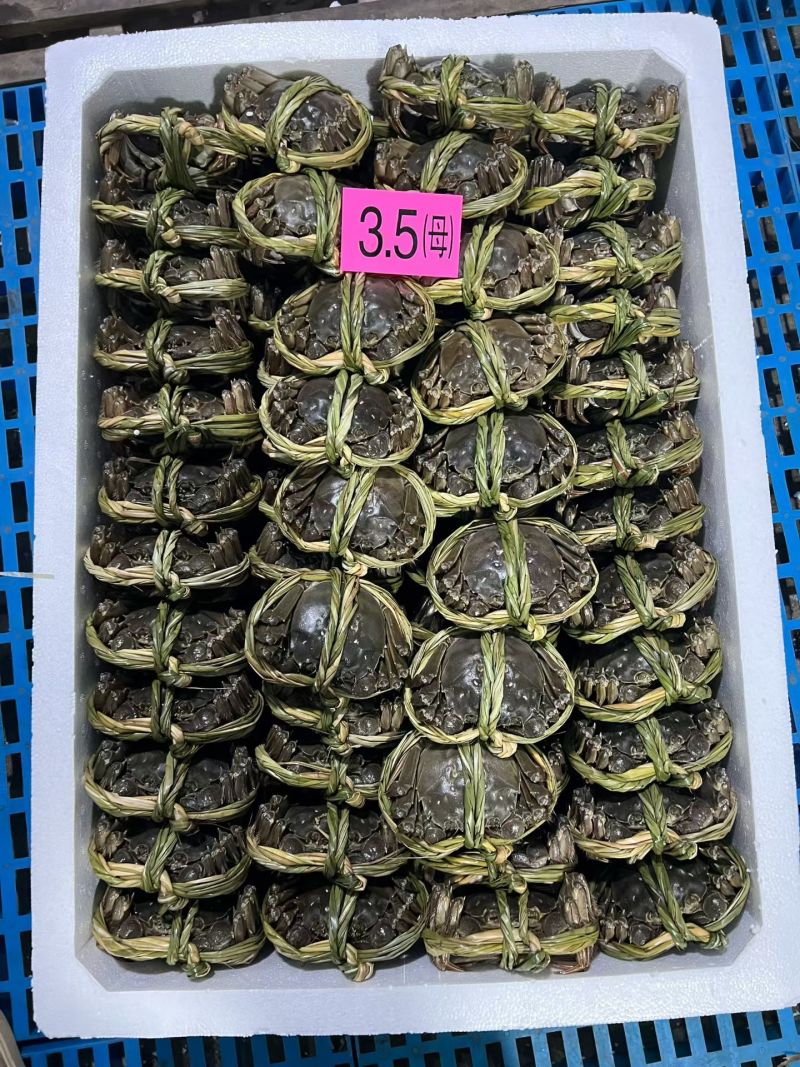 泗洪洪泽湖大闸蟹