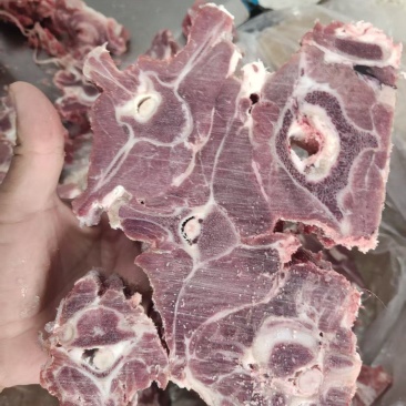 双威羊蝎子