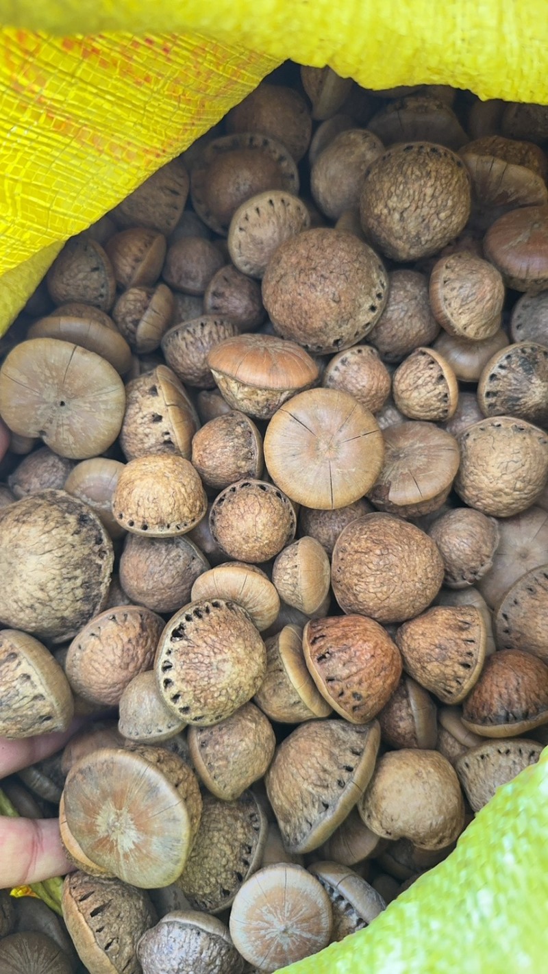 风流果