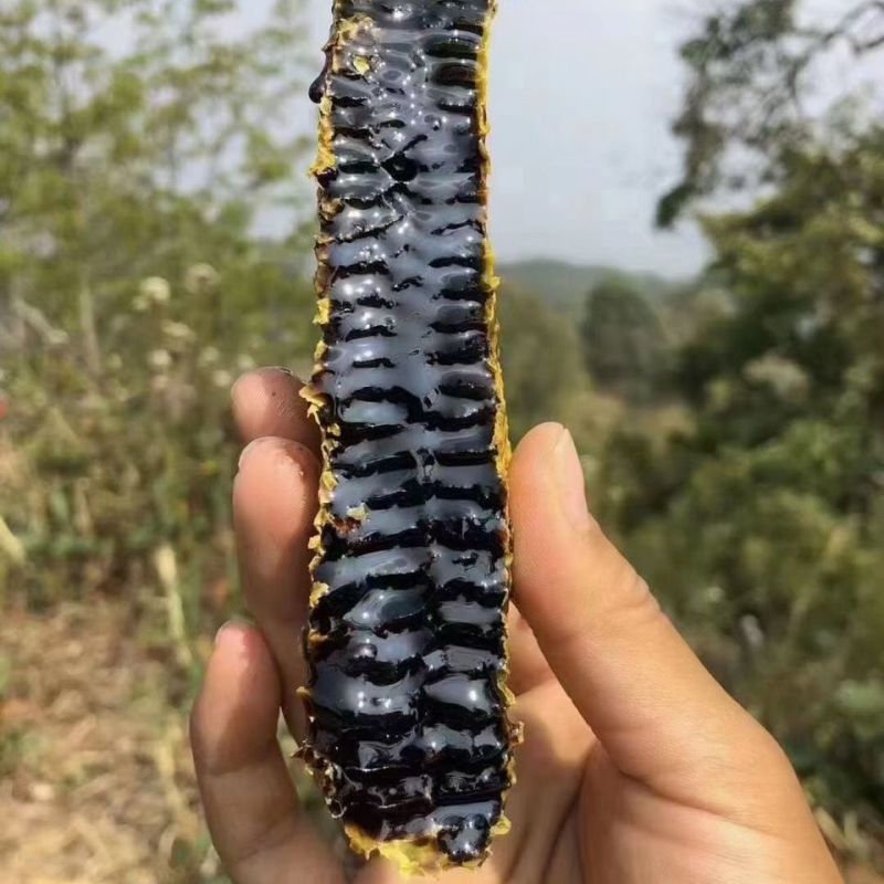云南高原米团花蜜***黑蜂云南蜂蜜原生态野生黑蜂蜜黑蜂蜜